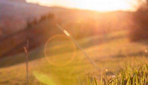 【散歩】気分が晴れない。そんな時は太陽の光を浴びませんか？【気分転換】