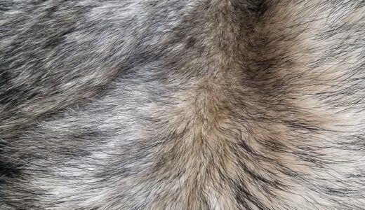 【毛皮のマリーズ】40歳を迎えるあなたはきっと泣く。心に響く名曲。【ビューティフル】