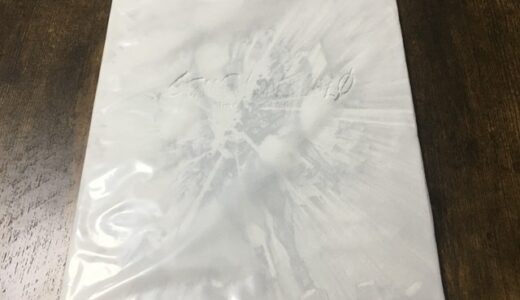 【シン・エヴァンゲリオン】パンフレット開封。蘇る感動。ネタばれ無し。【evangelion:3.0+1.0】