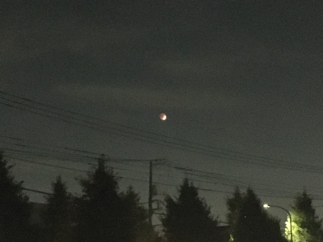 部分月食の夜