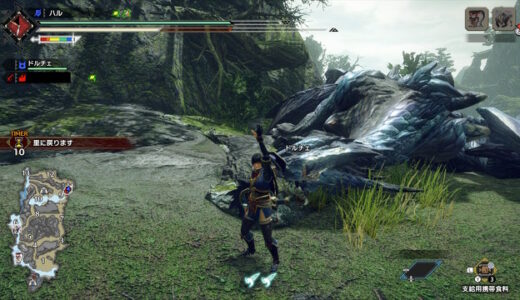 【モンハンライズ】全モンスター狩猟完了。バルファルクはやっぱり強かった。【ライトボウガン】