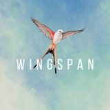 ウイングスパンメインイラスト