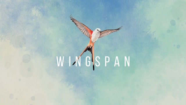 ウイングスパンメインイラスト