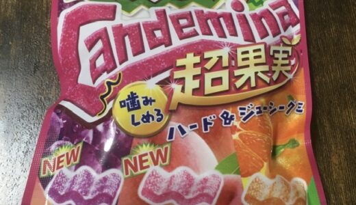 【グミ】硬いグミを求めて。「カンデミ〜ナ」を食べてみた。ハードだけどジューシーでクセになる。【コンビニ＆スーパー】